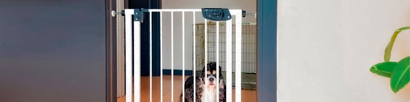 DOG SAFETY GATES