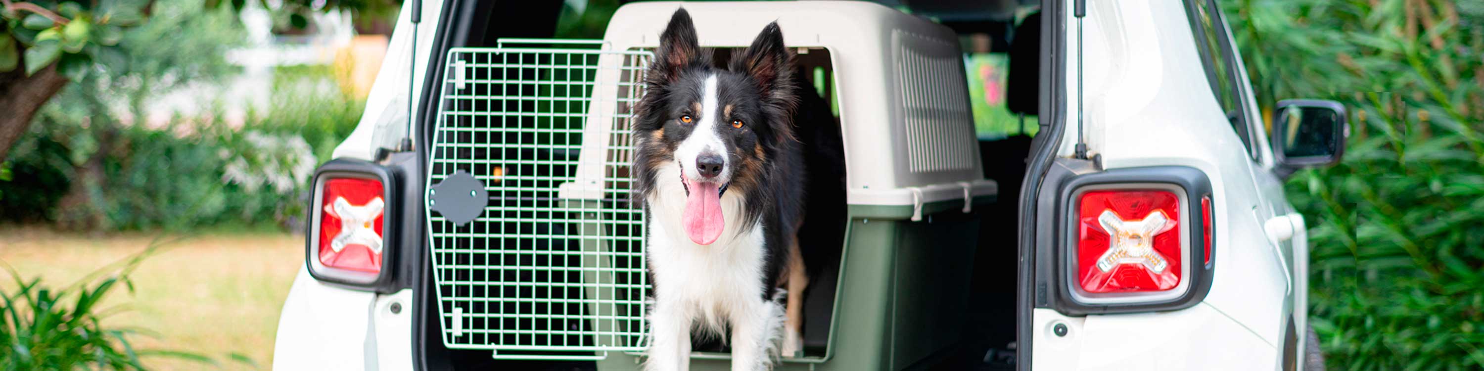 Atlas dog crate best sale