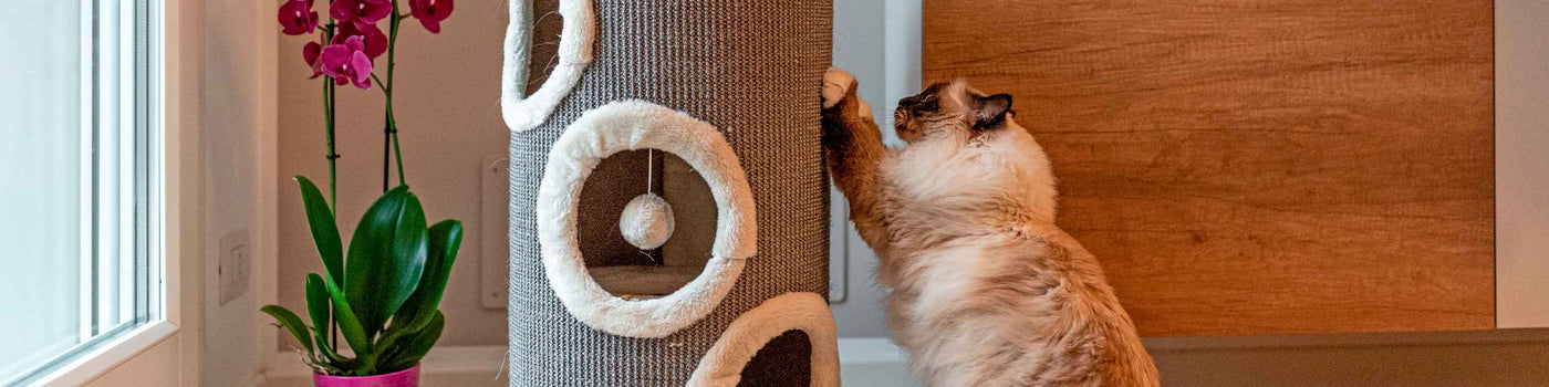 SCRATCHING POSTS AND CAT FURNITURE