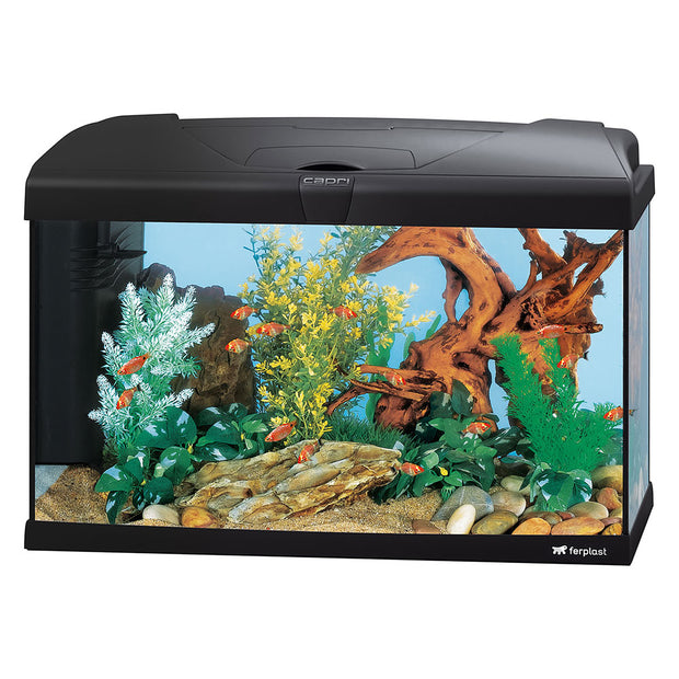 CAPRI 60 LED - 60 л