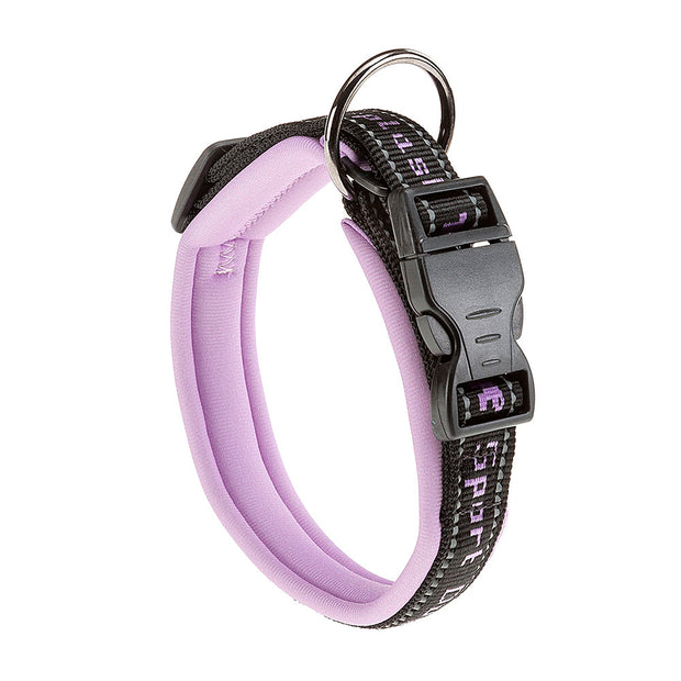 SPORT DOG C