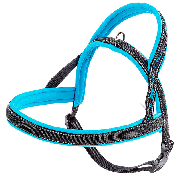 SPORT DOG P