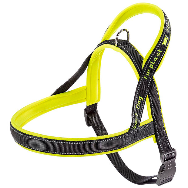 SPORT DOG P