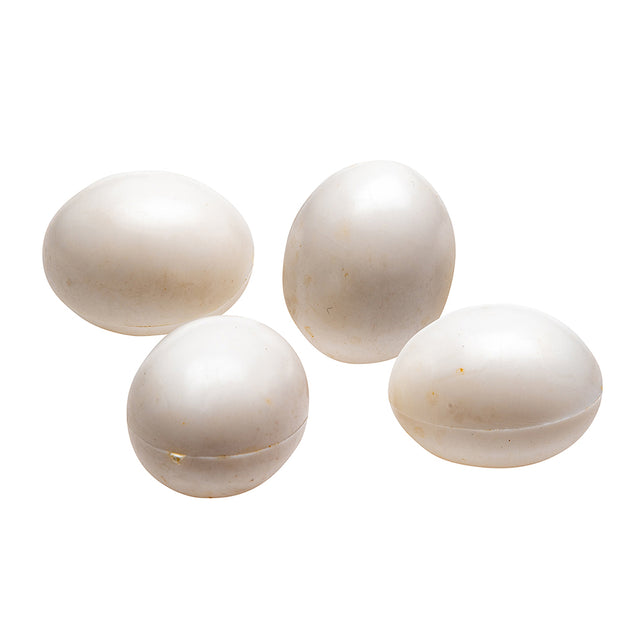 FPI 4309 FAKE EGGS FOR COCKATIELS