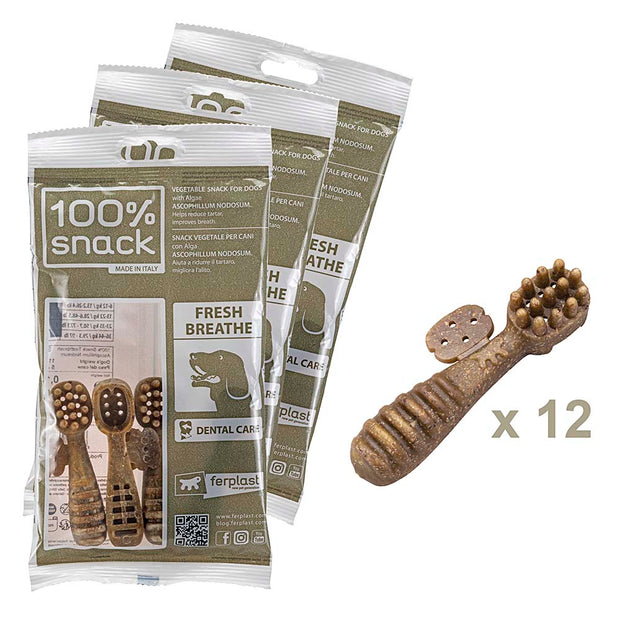 100% SNACK FILLABLE - TOOTHBRUSH ASCOPHILLUM