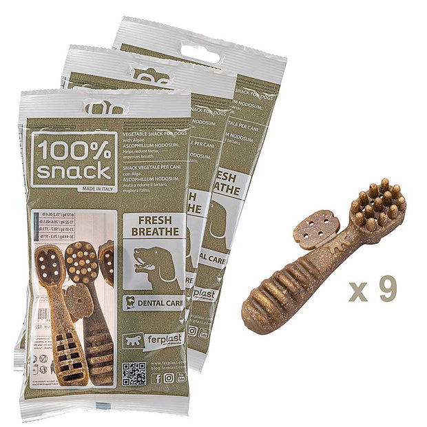 Лакомство 100% SNACK, ASCOPHILLUM, зубная щётка, наполняемые