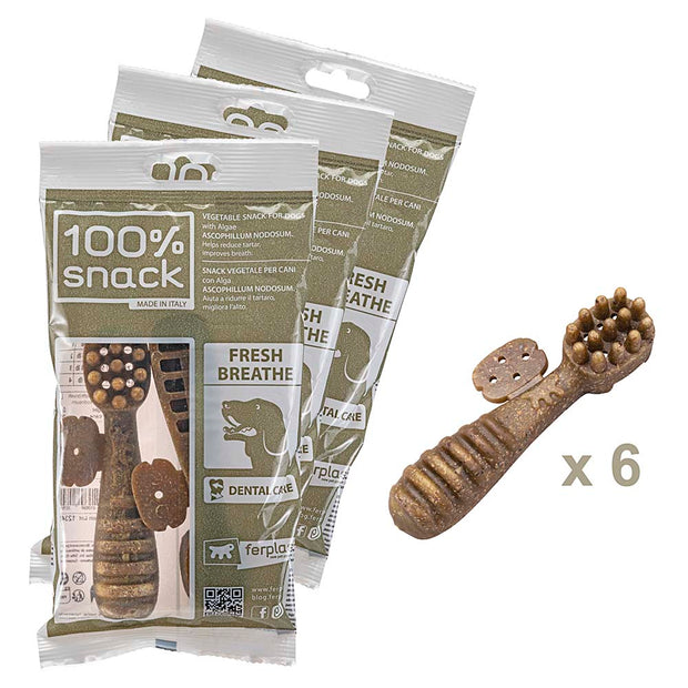 100% SNACK FILLABLE -  TOOTHBRUSH ASCOPHILLUM