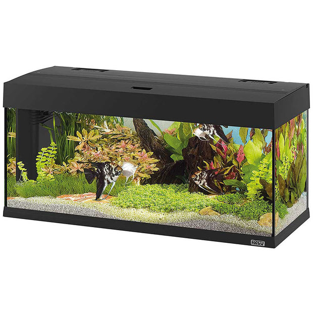 DUBAI 100 LED - 190 л