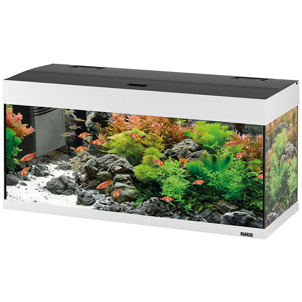 DUBAI 100 LED - 190 л