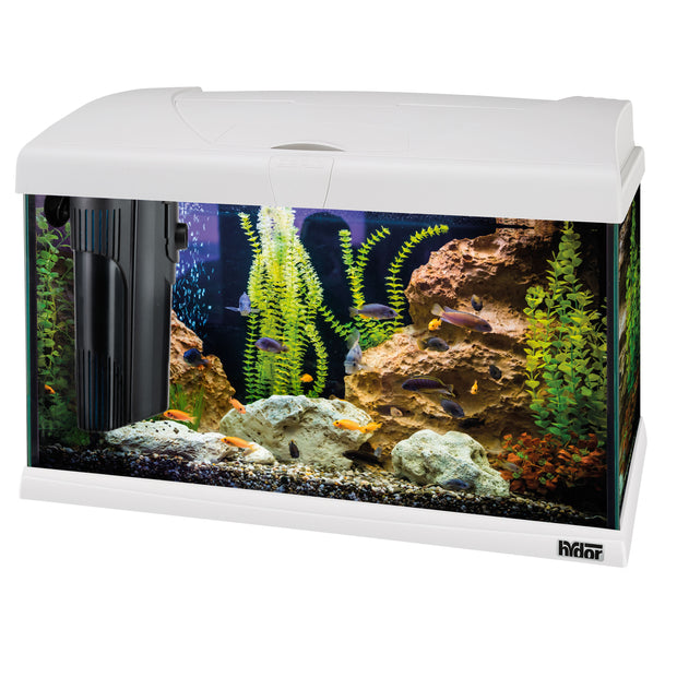 CAPRI 50 LED - 40 л