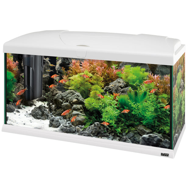 CAPRI 80 LED PLUS - 100 л
