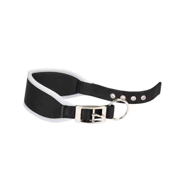 ERGOCOMFORT CW
