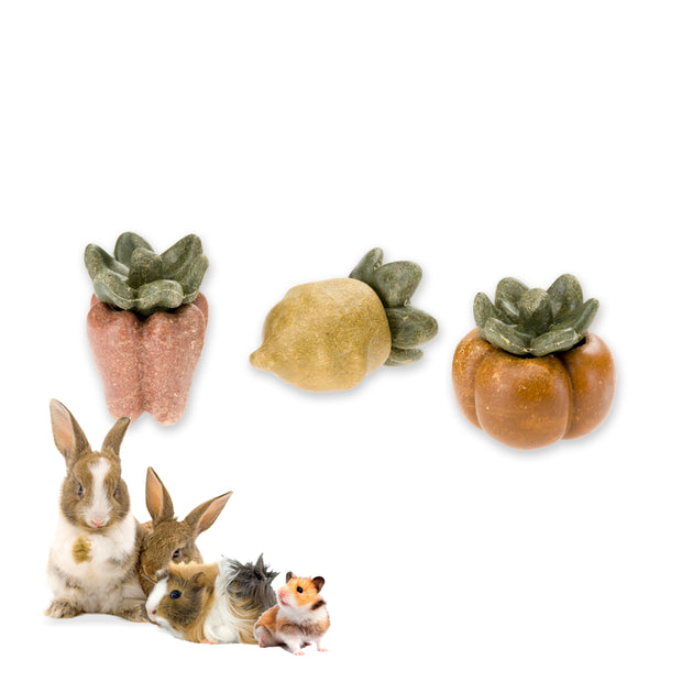 VEGGIE BITES LEGUMES