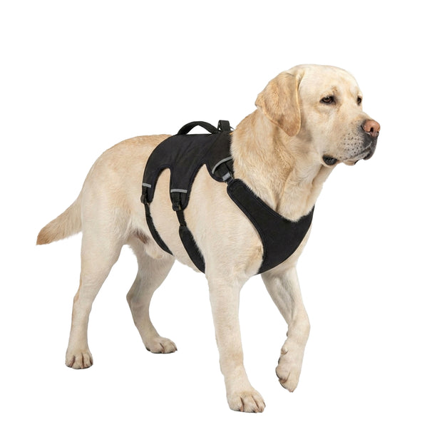 ERGOTREKKING