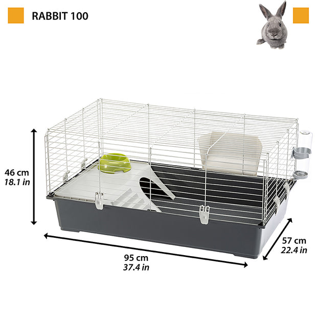 RABBIT 100