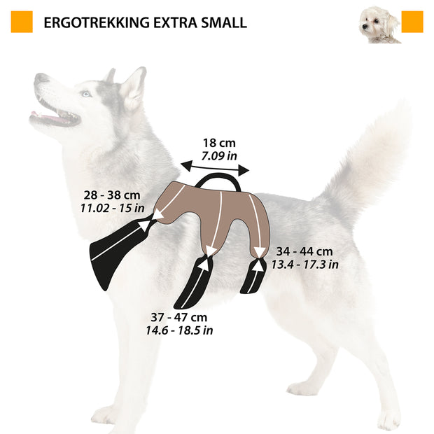 Шлейка ERGOTREKKING P