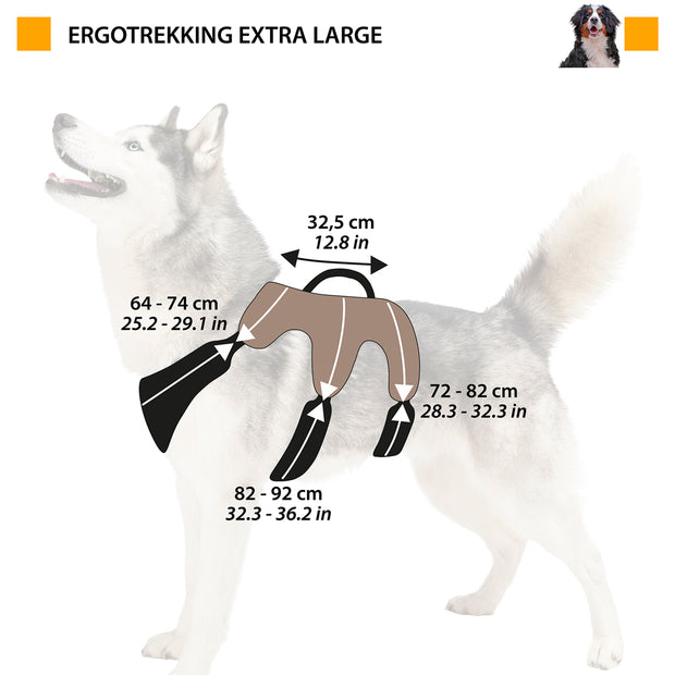 Шлейка ERGOTREKKING P