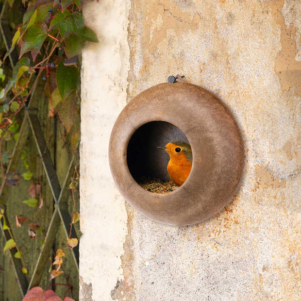 Outdoor feeder for wild birds