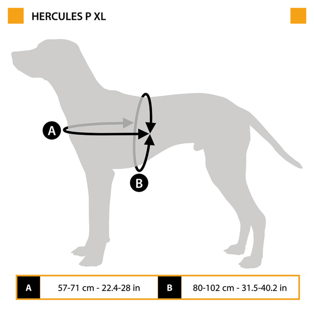 HERCULES P XL