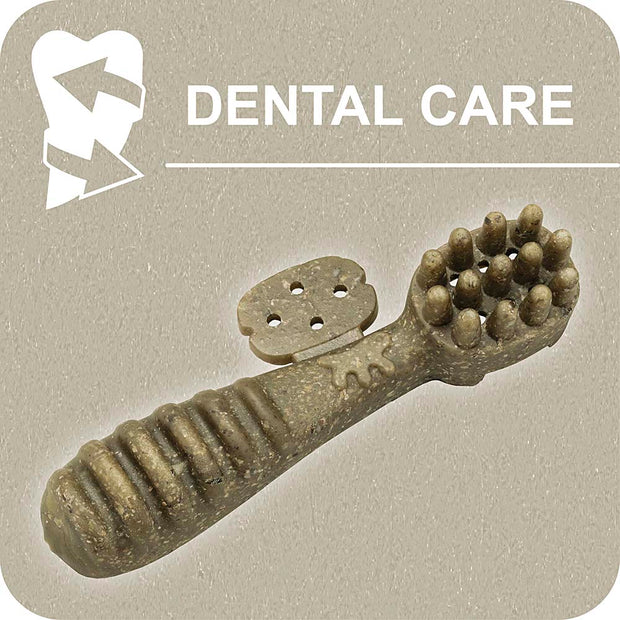 100% SNACK RELLENABLES -  TOOTHBRUSH ASCOPHILLUM