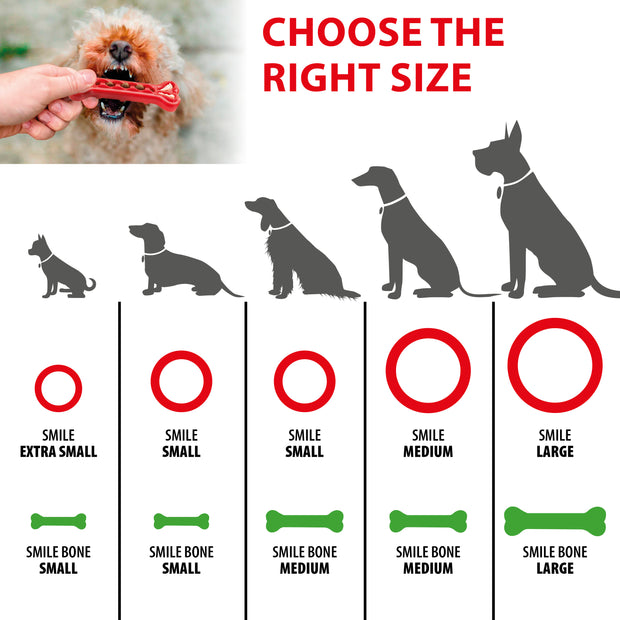 SMILE BONE
