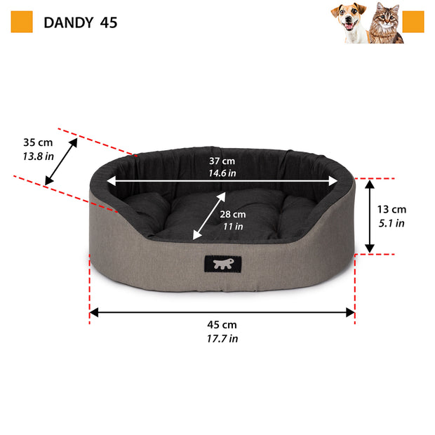 DANDY C