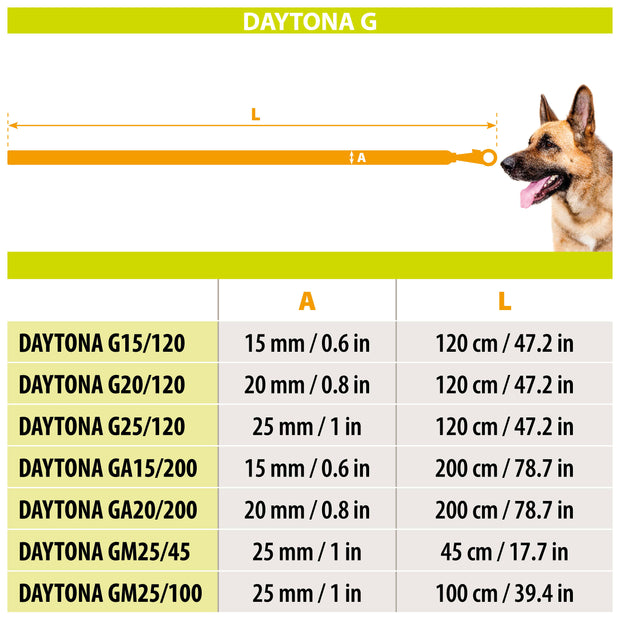 DAYTONA GM25/45