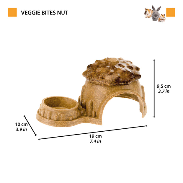 VEGGIE BITES HUT 