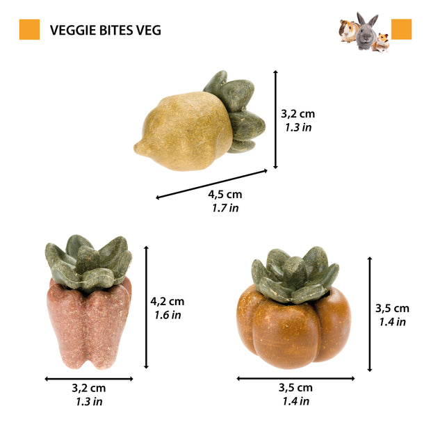 VEGGIE BITES LEGUMES