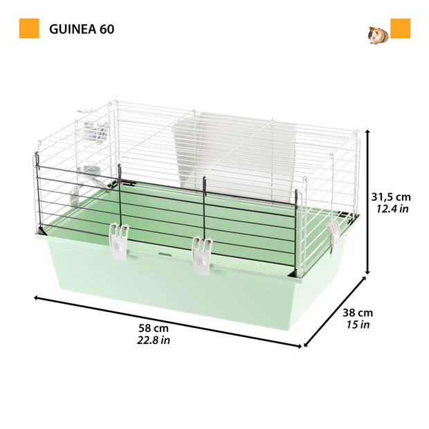 GUINEA 60