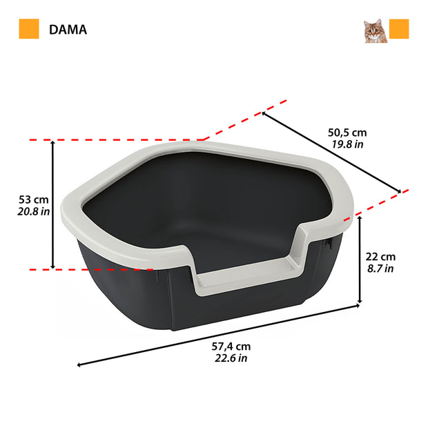 DAMA