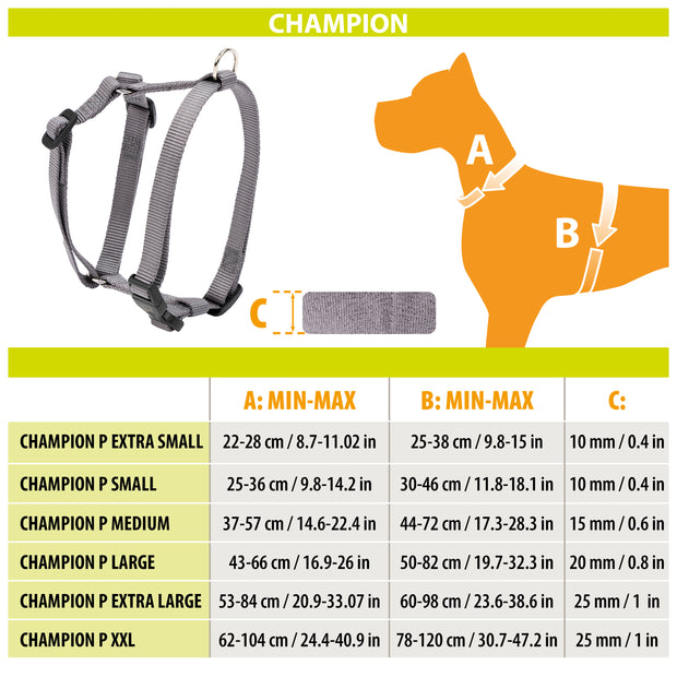 CHAMPION P