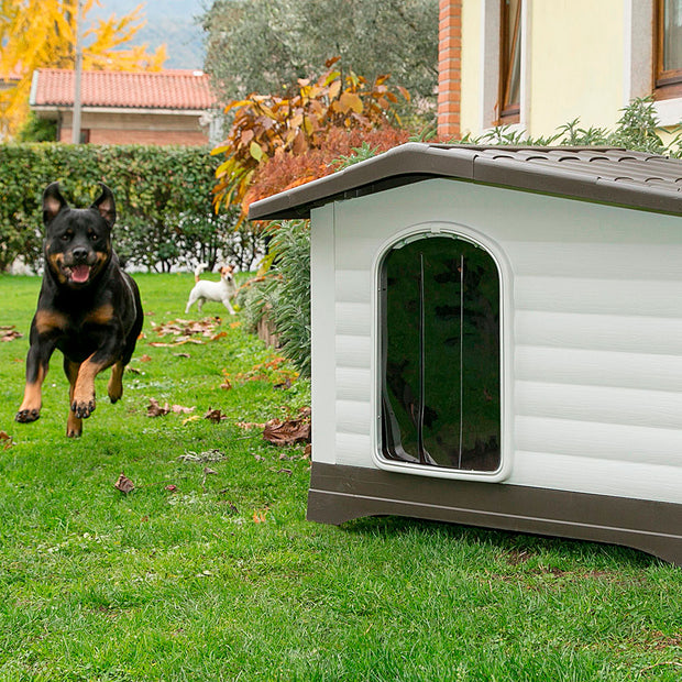 Porta para Dogvilla