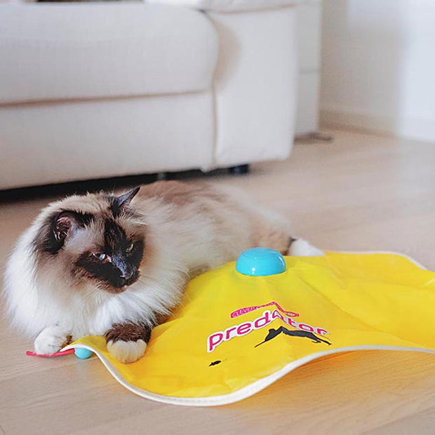 捕食者电动猫玩具