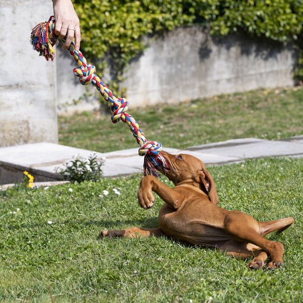 Игрушка PA 6524