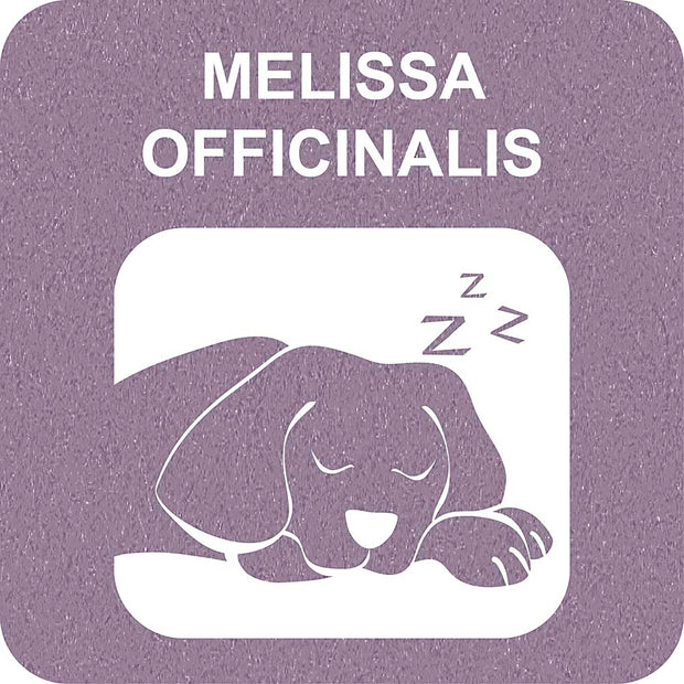 100% SNACK BASTÕES - SNOWFLAKE MELISSA
