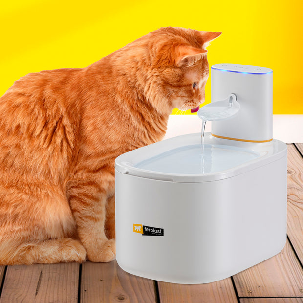ASTRA猫喷泉