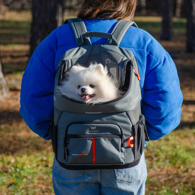 VOYAGER BACKPACK