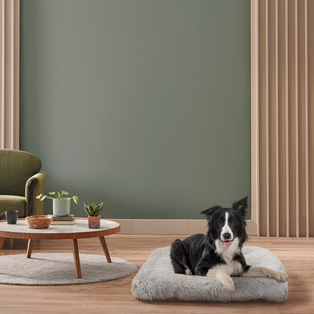 SHANTI Almofada para cães e gatos