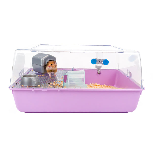 MINI DUNA HAMSTER
