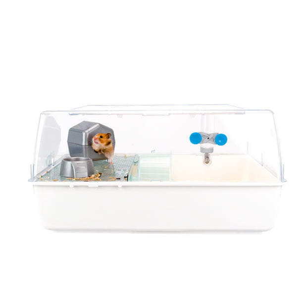 MINI DUNA HAMSTER