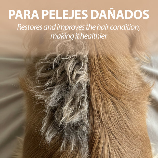 SHAMPOO PARA CÃES NATURÉ COM ARGILA VERDE