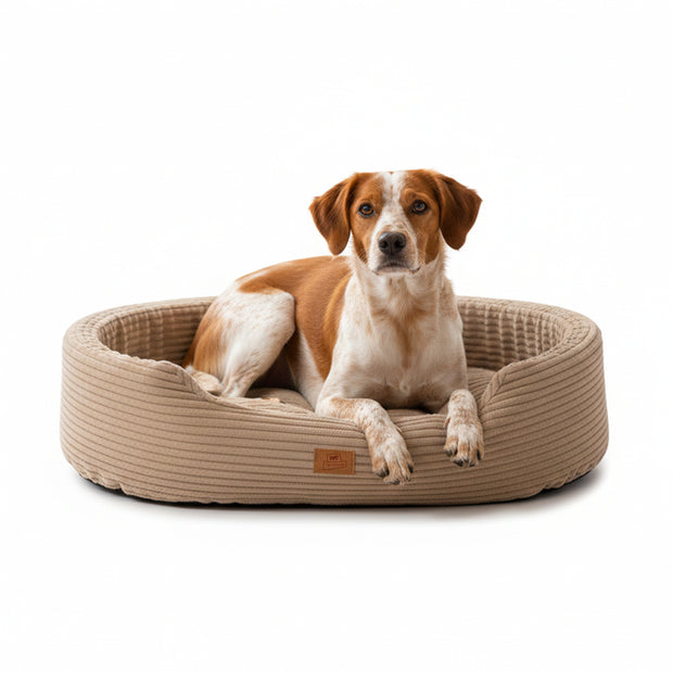 DANDY CORDUROY Cama tipo sofá com almofada removível para cães e gatos