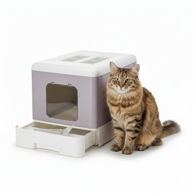 SAHARA Caixa de areia para gatos