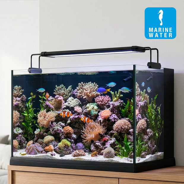 Lâmpada AQ-LUX REEF