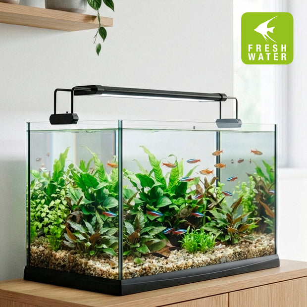 Lâmpada AQ-LUX FRESH