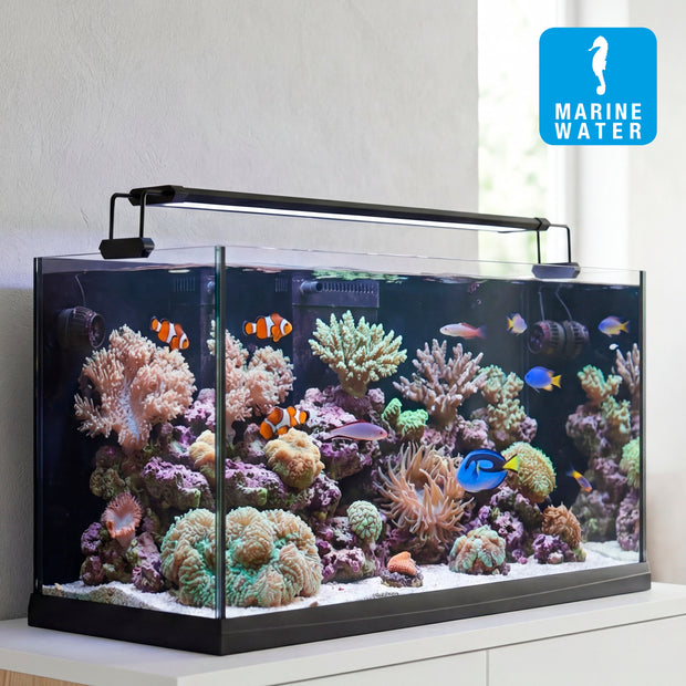 Lâmpada AQ-LUX REEF