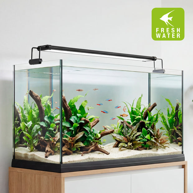 Lâmpada AQ-LUX FRESH