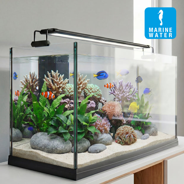 Lâmpada AQ-LUX REEF