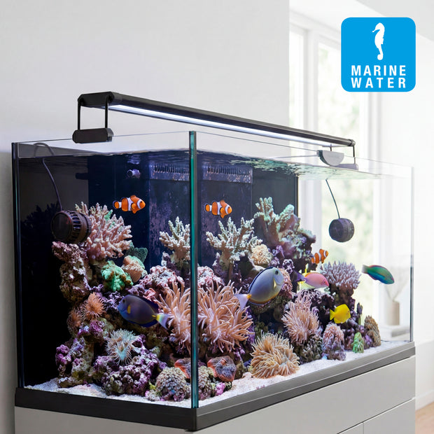 Lâmpada AQ-LUX REEF